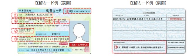 在留カードの例|埼玉の社労士は福田社会保険労務士事務所